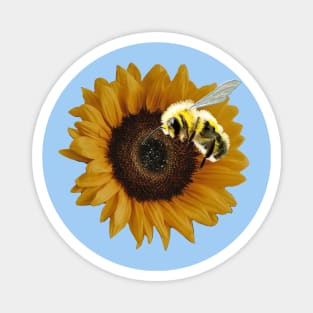 Save the Bees - realism sunflower and bee Magnet